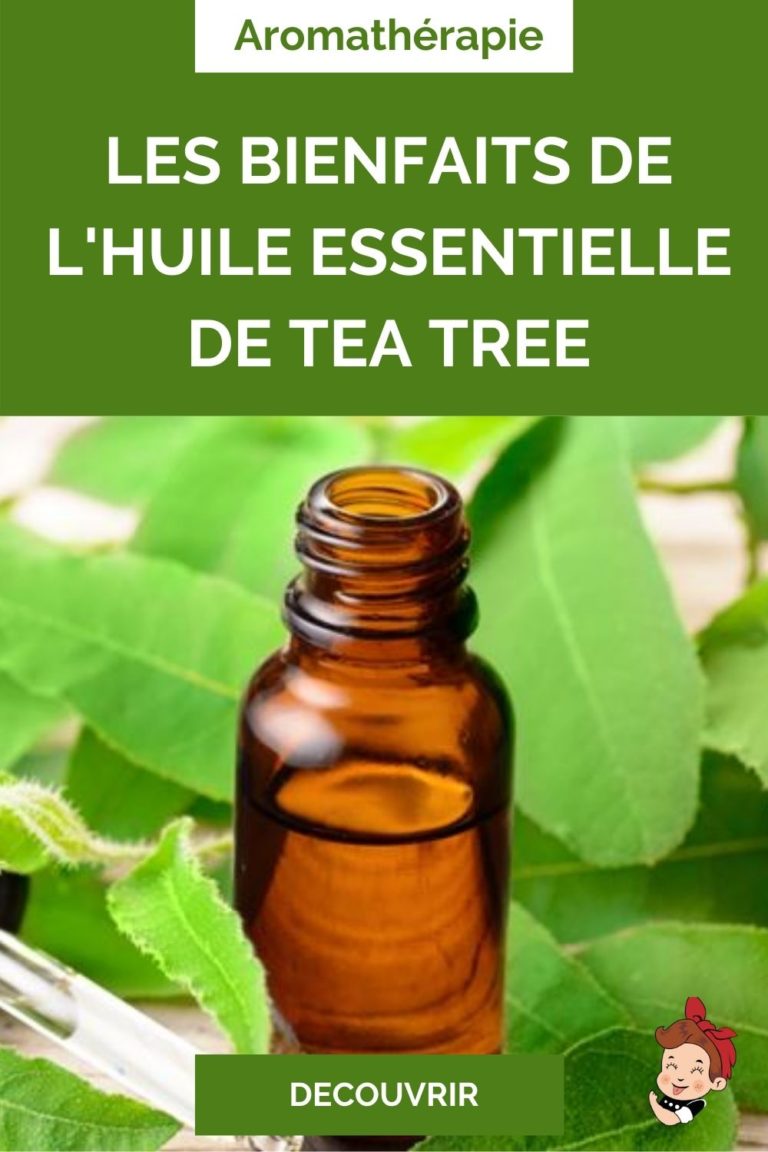 Présentation De L'huile Essentielle De Tea Tree : Mimitambouille ...